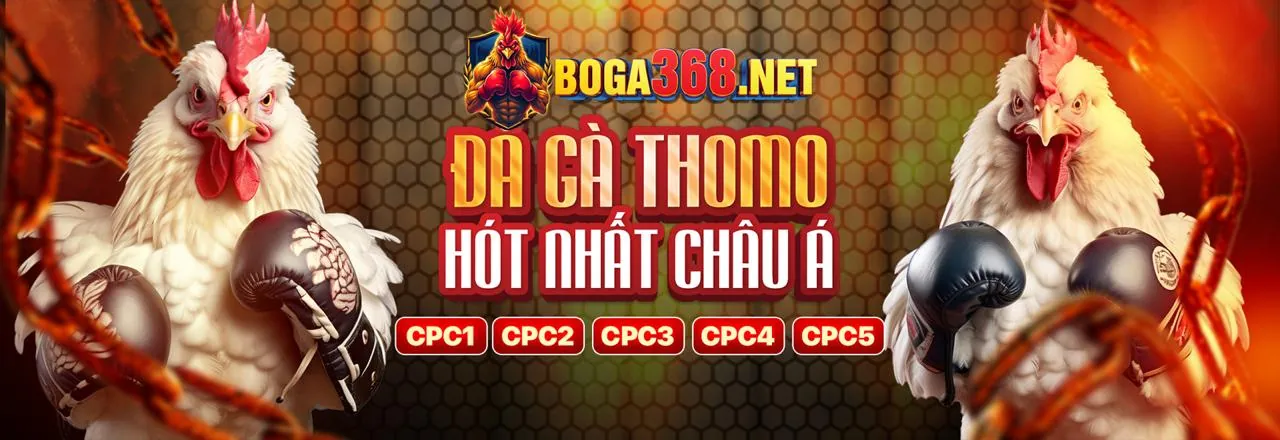 Đá gà trực tuyến 24kclub